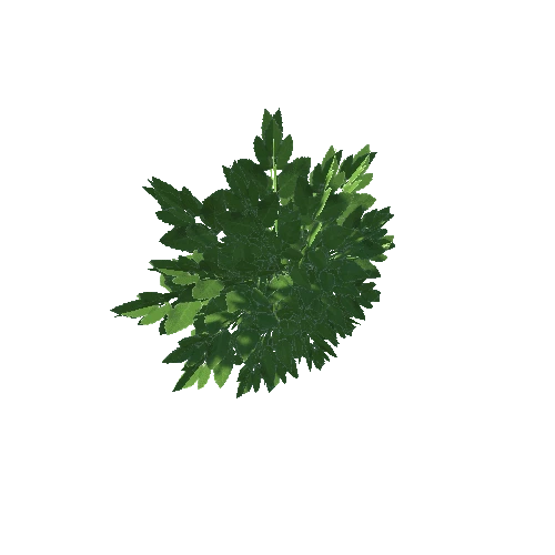 Plant00Bush1 Variant